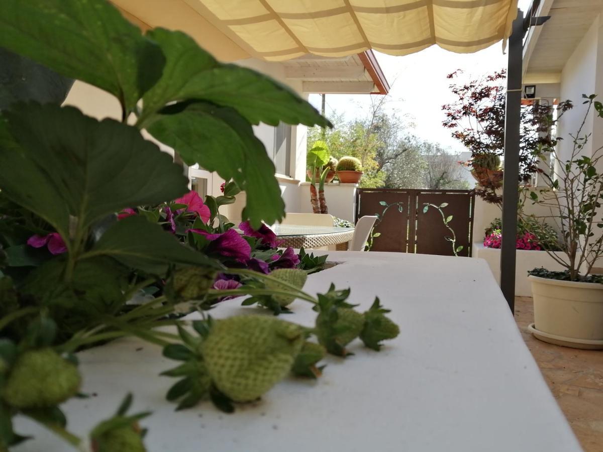 Villa Raggio Di Sole Parcheggio Privato Porto Cesareo Bagian luar foto