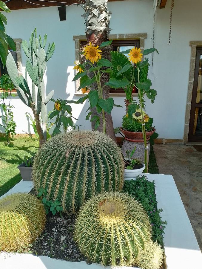 Villa Raggio Di Sole Parcheggio Privato Porto Cesareo Bagian luar foto