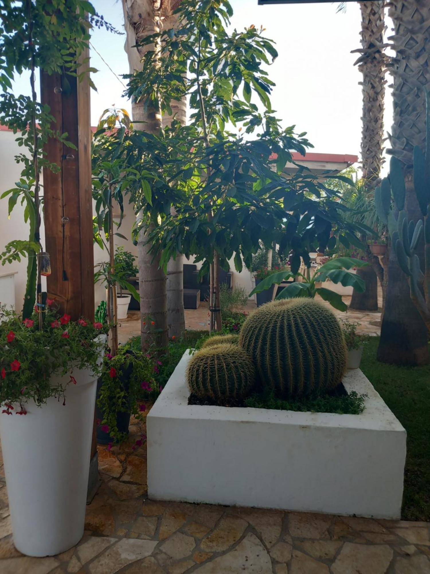 Villa Raggio Di Sole Parcheggio Privato Porto Cesareo Bagian luar foto